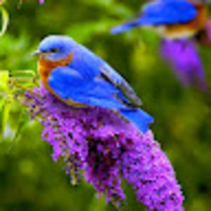 Meet your Posher, Cathrine